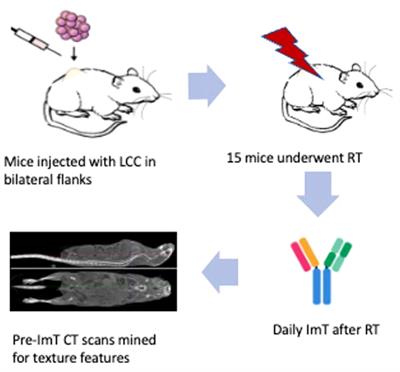 Predicting response to immunotherapy in non-small cell lung cancer- from bench to bedside